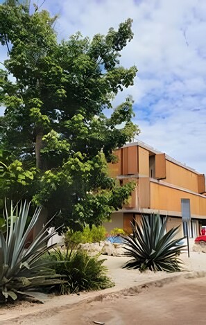Un bâtiment doté d’un toit plat et d’un grand arbre devant.