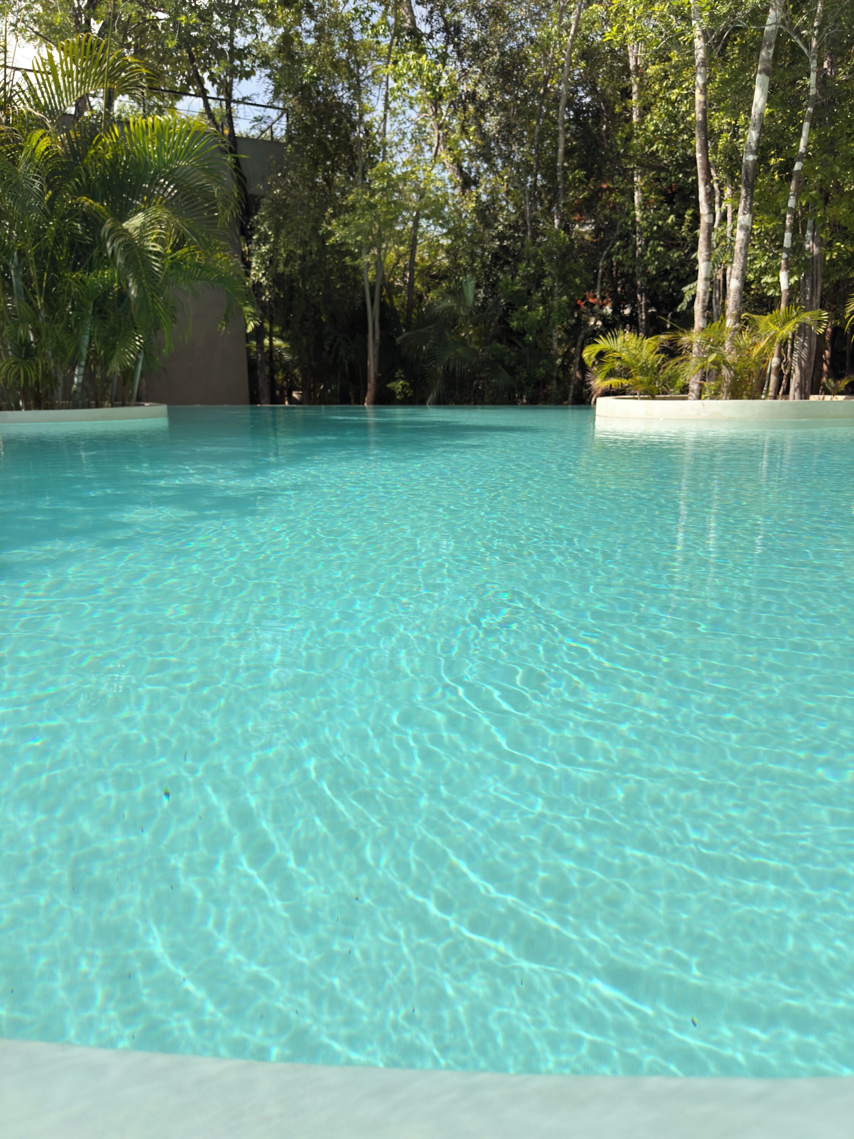 A clear blue pool surrounded by lush greenery and trees.
