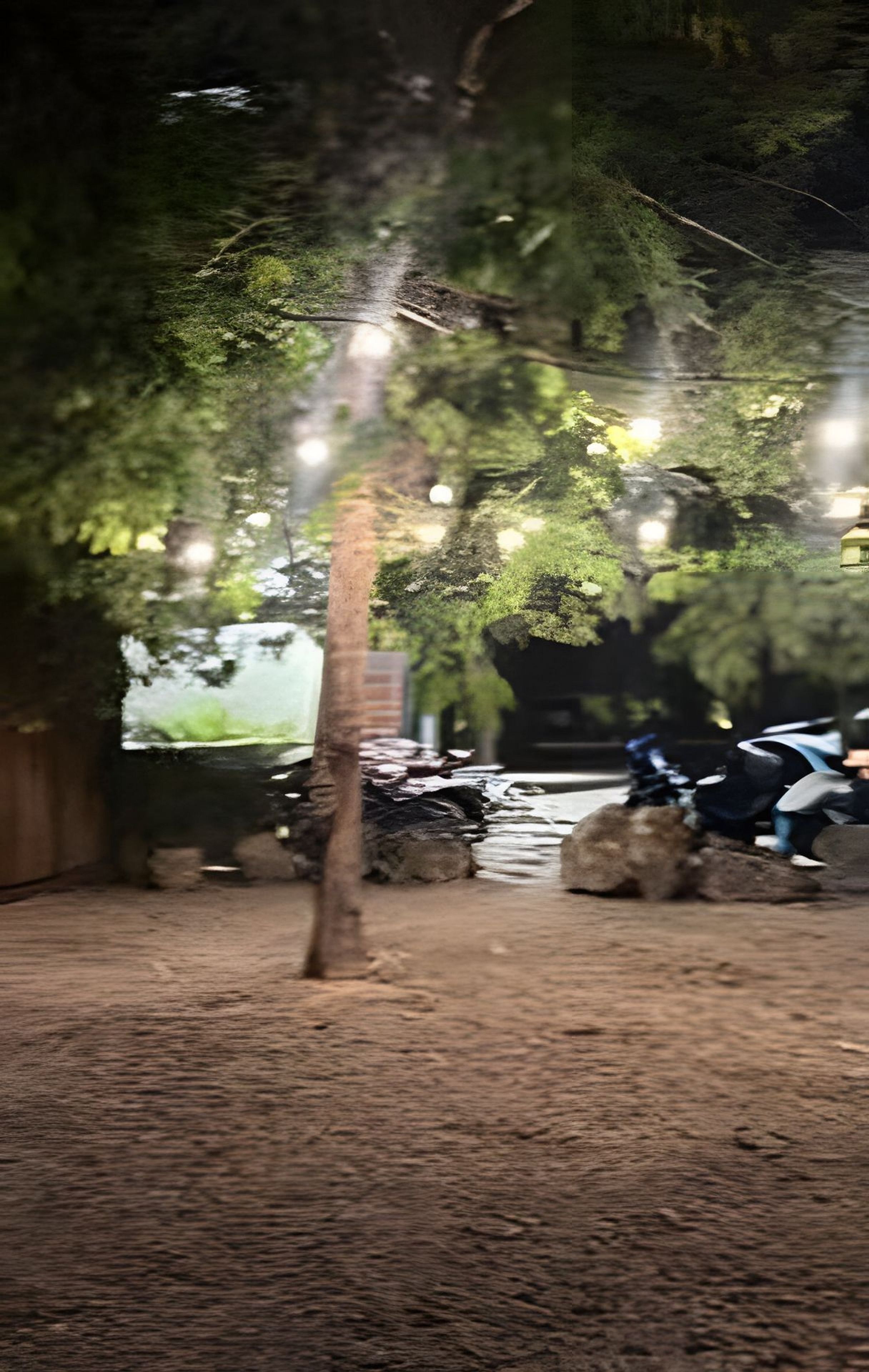 Un espacio al aire libre con un árbol, un sendero y una pequeña fuente de agua.