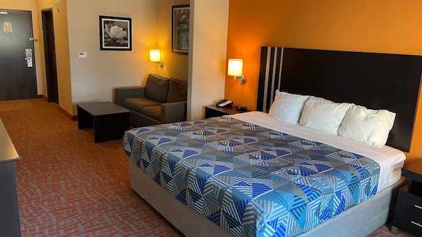 Una habitación de hotel con una cama grande, un sofá, un escritorio y una mesita de noche.