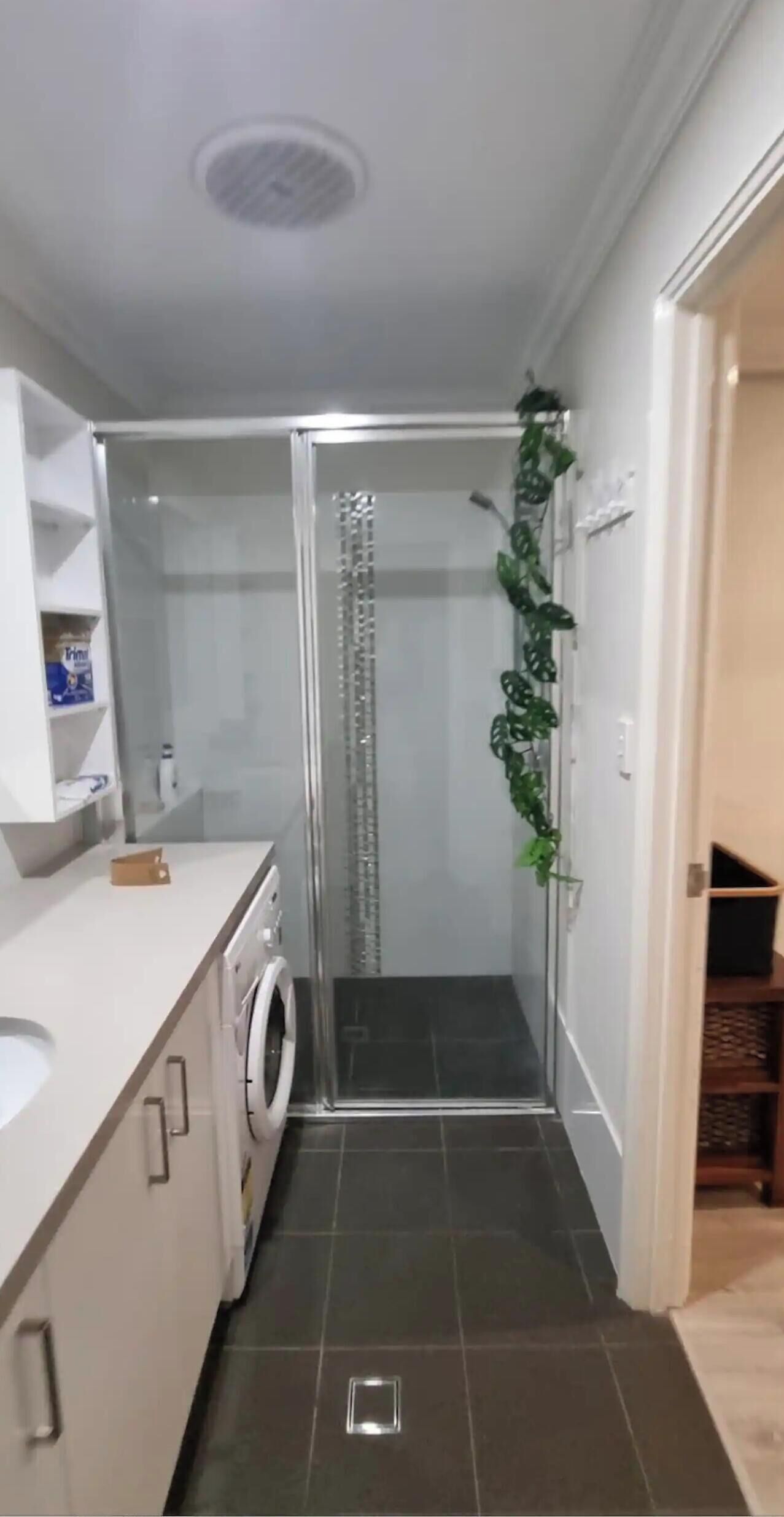 A narrow bathroom with a washing machine, a glass shower enclosure, and a plant.