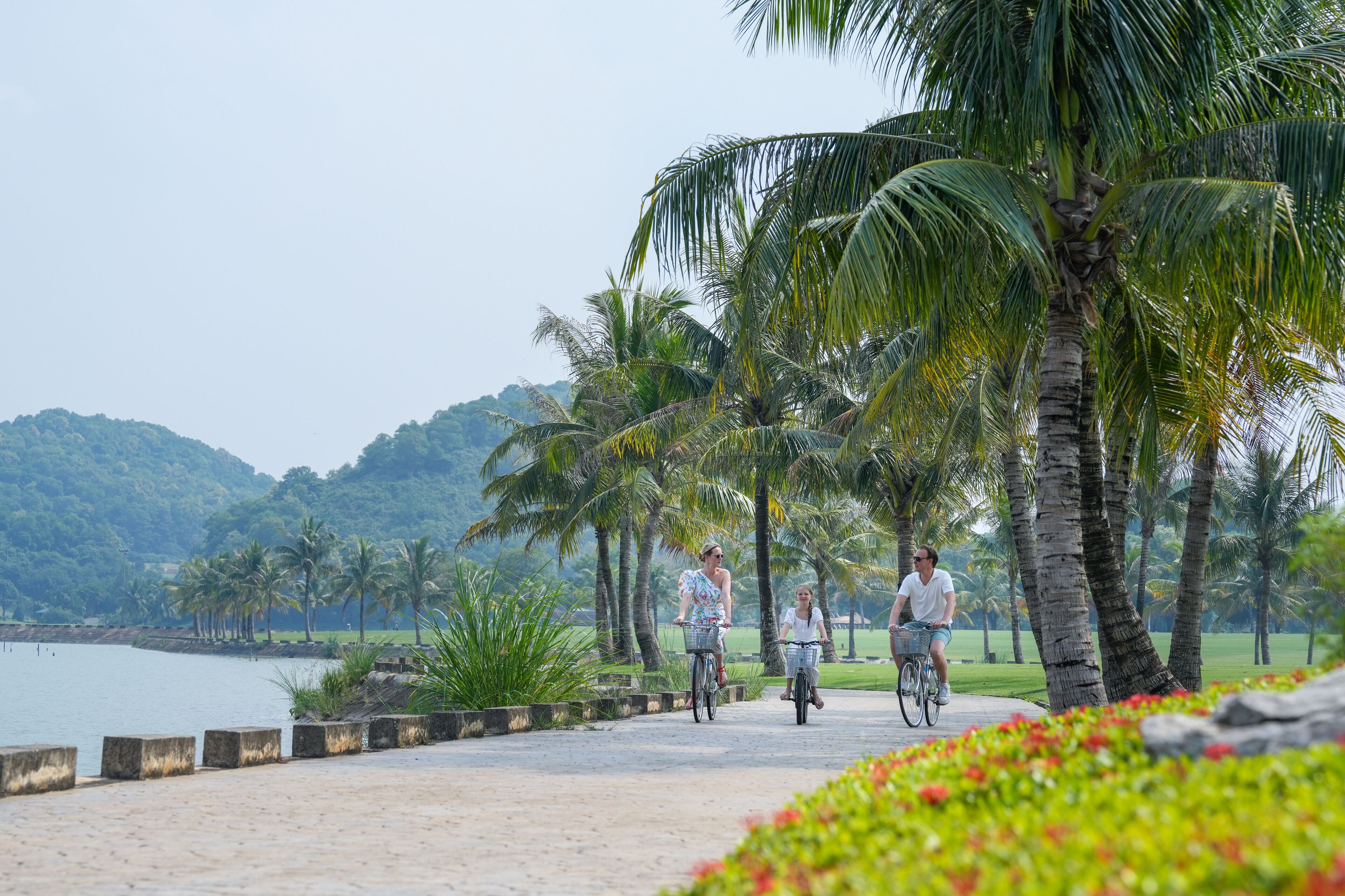 A paved pathway with palm trees and a body of water in the background.