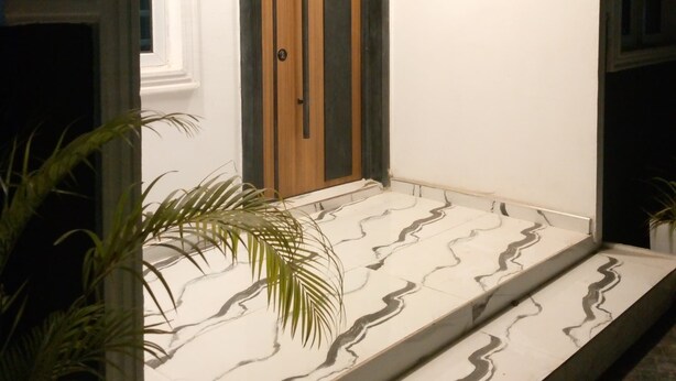 Une entrée moderne avec une porte en bois, un escalier en marbre et des plantes en pot.