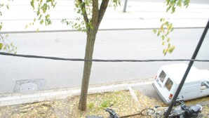 Straßenansicht mit Baum, einem weißen Lieferwagen und einem abgestellten Fahrrad.