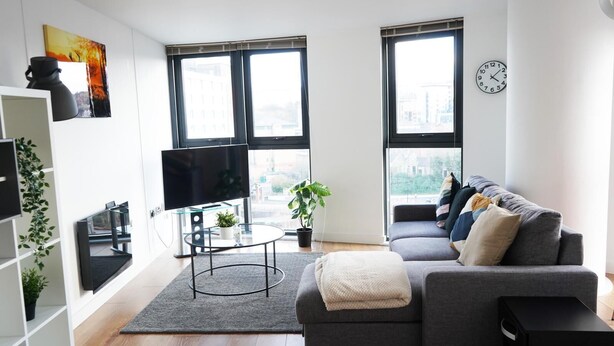 A modern living room with a grey sofa, a flat-screen TV, a glass coffee table, and a potted plant. - Apartment - Sleeps 4 - Pet friendly - WiFi (Sheffield)