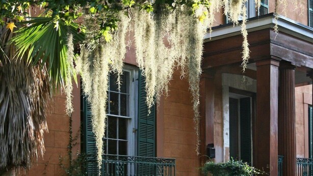 A building facade with hanging moss, green shutters, and a stone column. - 1-Bedroom Suite at a 4⭐️ Hotel (Savannah)