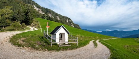 Ulkopuoli