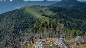 Paisagem montanhosa com florestas densas e terreno rochoso.