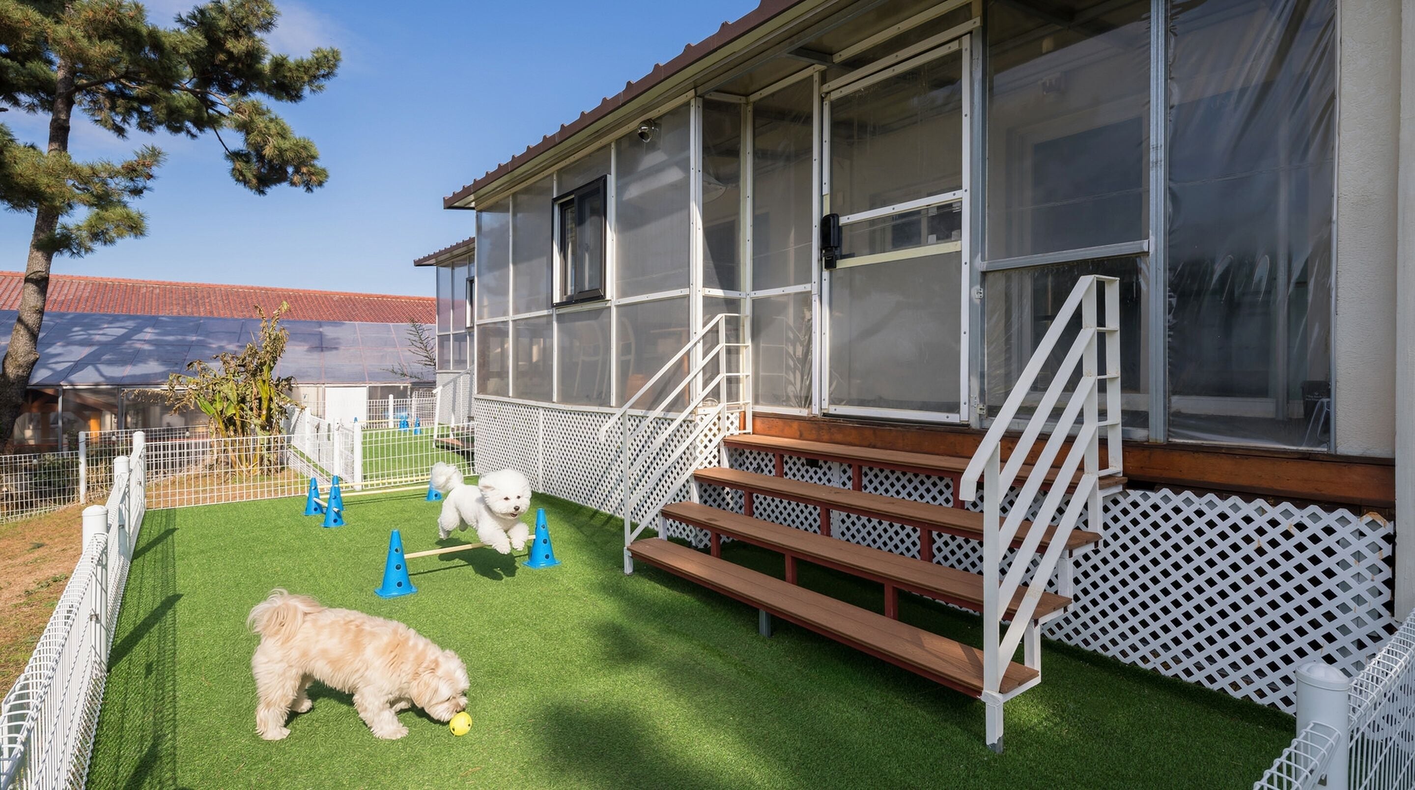 Phòng cơ bản, 1 phòng ngủ (D502) | 1 phòng ngủ, truy cập Internet không dây miễn phí 