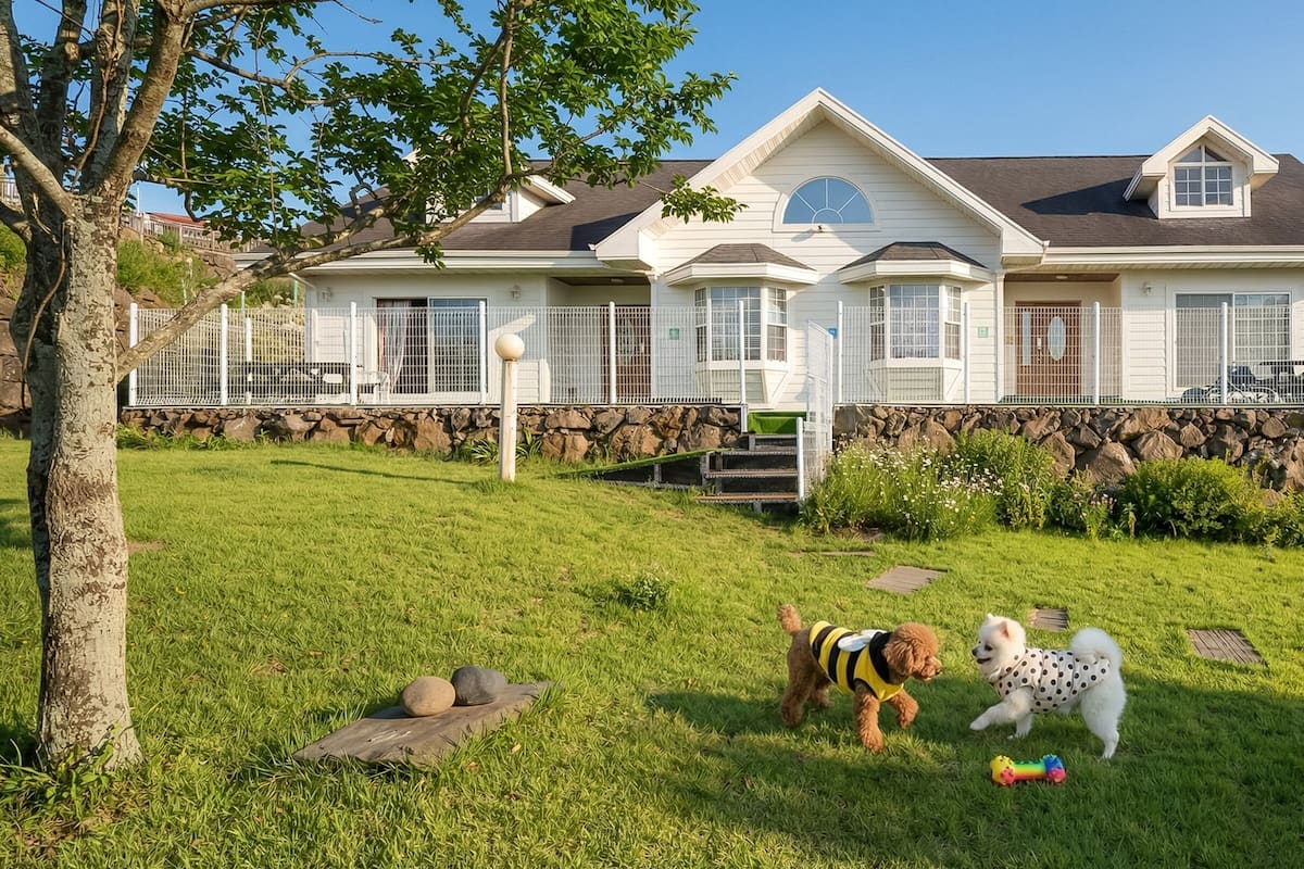 Basic Room, 2 Bedrooms (Halla โ 1 Dog Free (Yard/BBQ)) | 1 bedroom, free WiFi