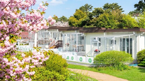 Jeju Dangdangi Dog Pension Black