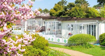 Jeju Dangdangi Dog Pension Black