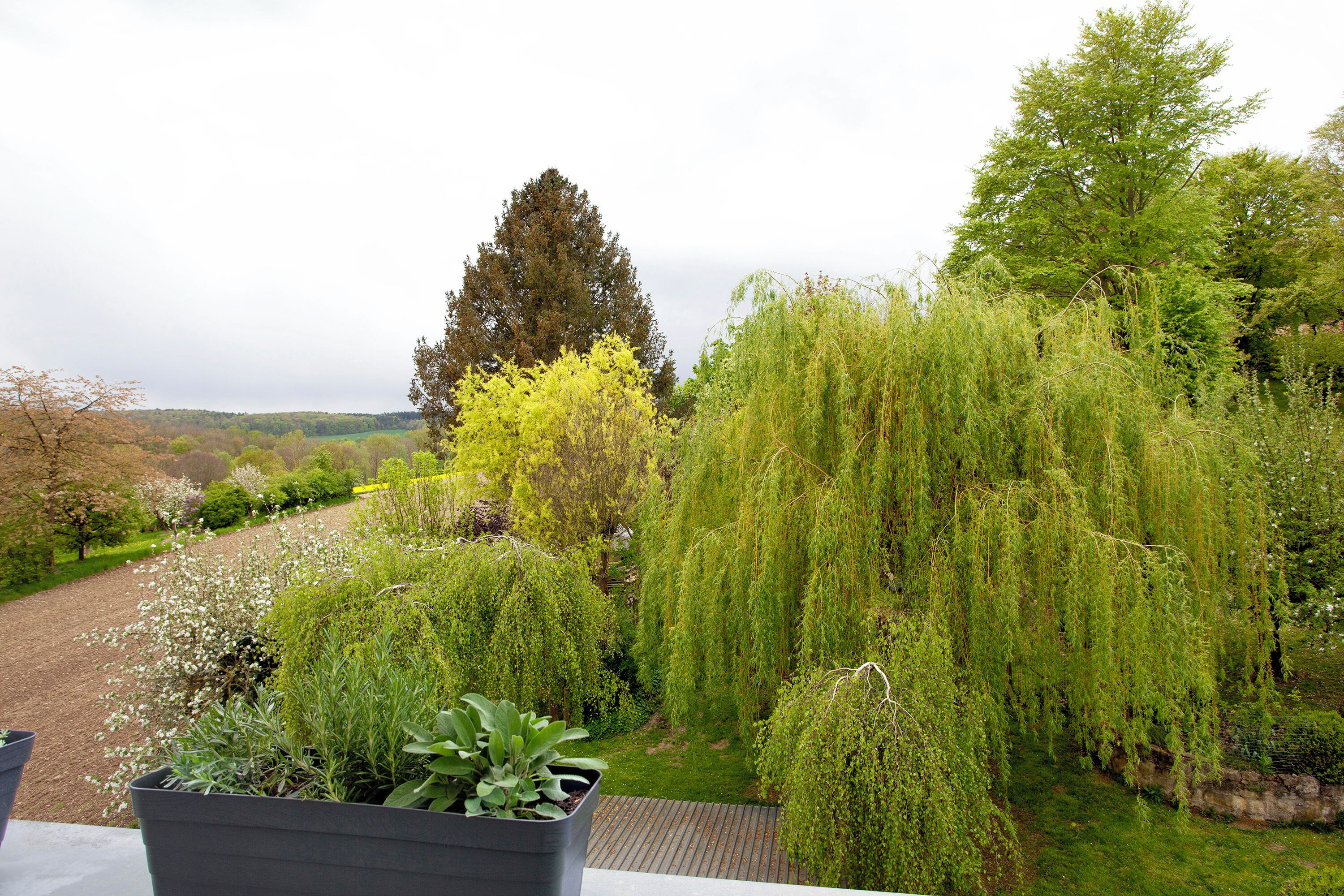 Áreas de la propiedad