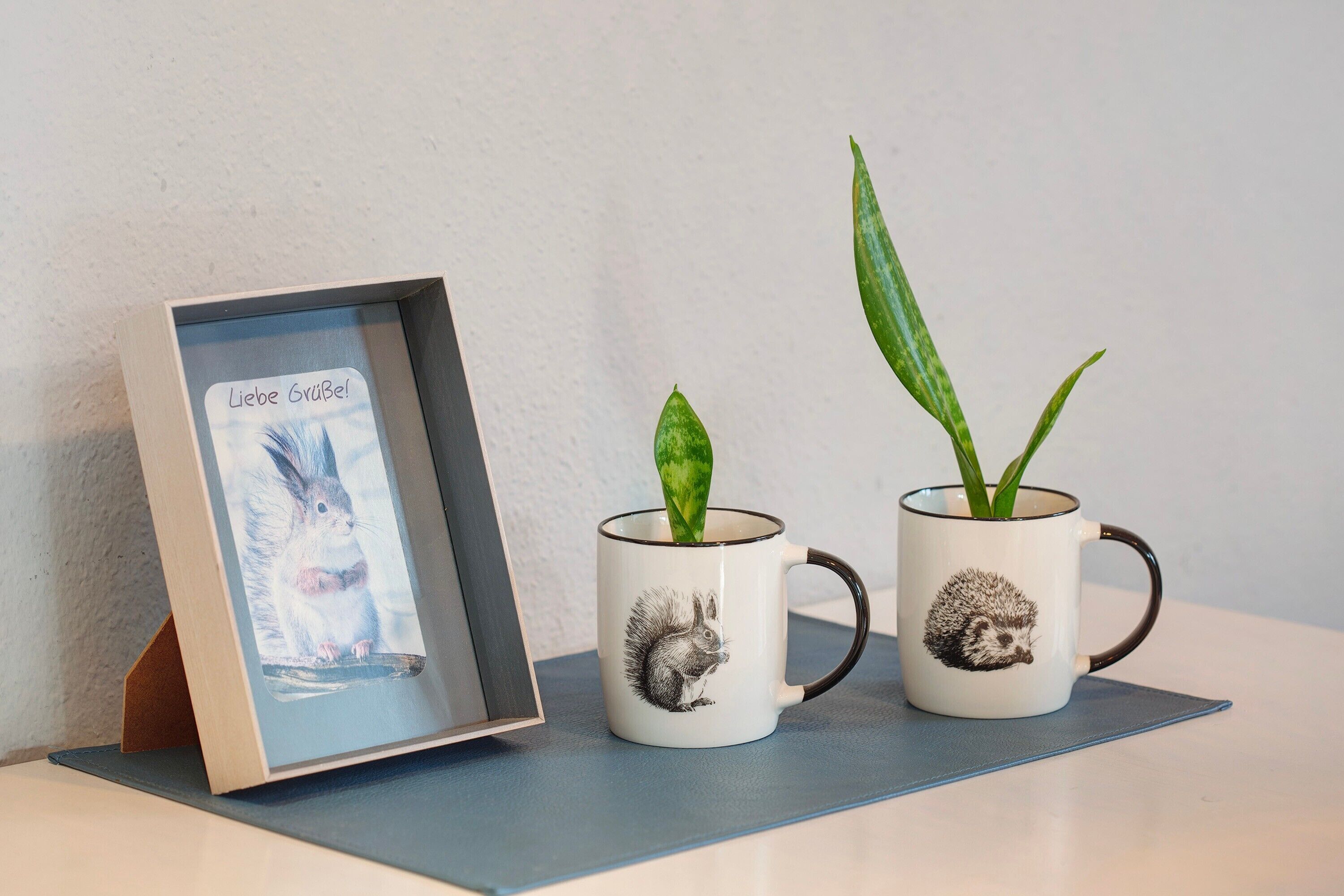 A framed picture of a rabbit with the text 'Liebe Grußel!' next to two mugs with hedgehog designs, each containing a plant.