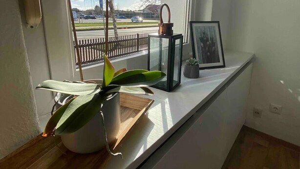 Ein Fenster mit Blick auf eine Straße und einen Zaun, ein Blumentopf, ein gerahmtes Bild und ein Metallgegenstand auf einer Theke.