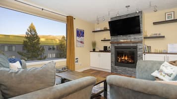 Smart TV, fireplace, books