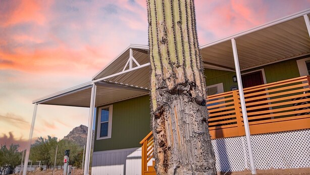 Un cactus alto con diversi rami di fronte a un edificio con tetto verde e pareti bianche.