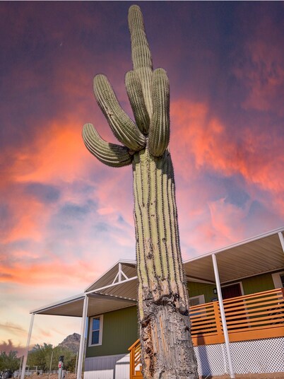 Wild Arizona West! Amazing Superstition Views.