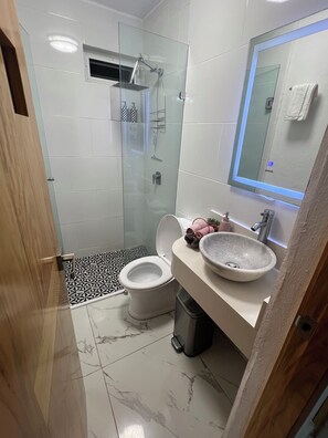 Secador de cabelo, toalhas de banho, sabonete, shampoo