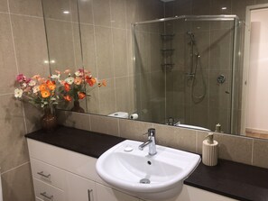 Shower, hair dryer, towels, soap