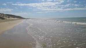 A beach with a sandy shore and gentle waves.