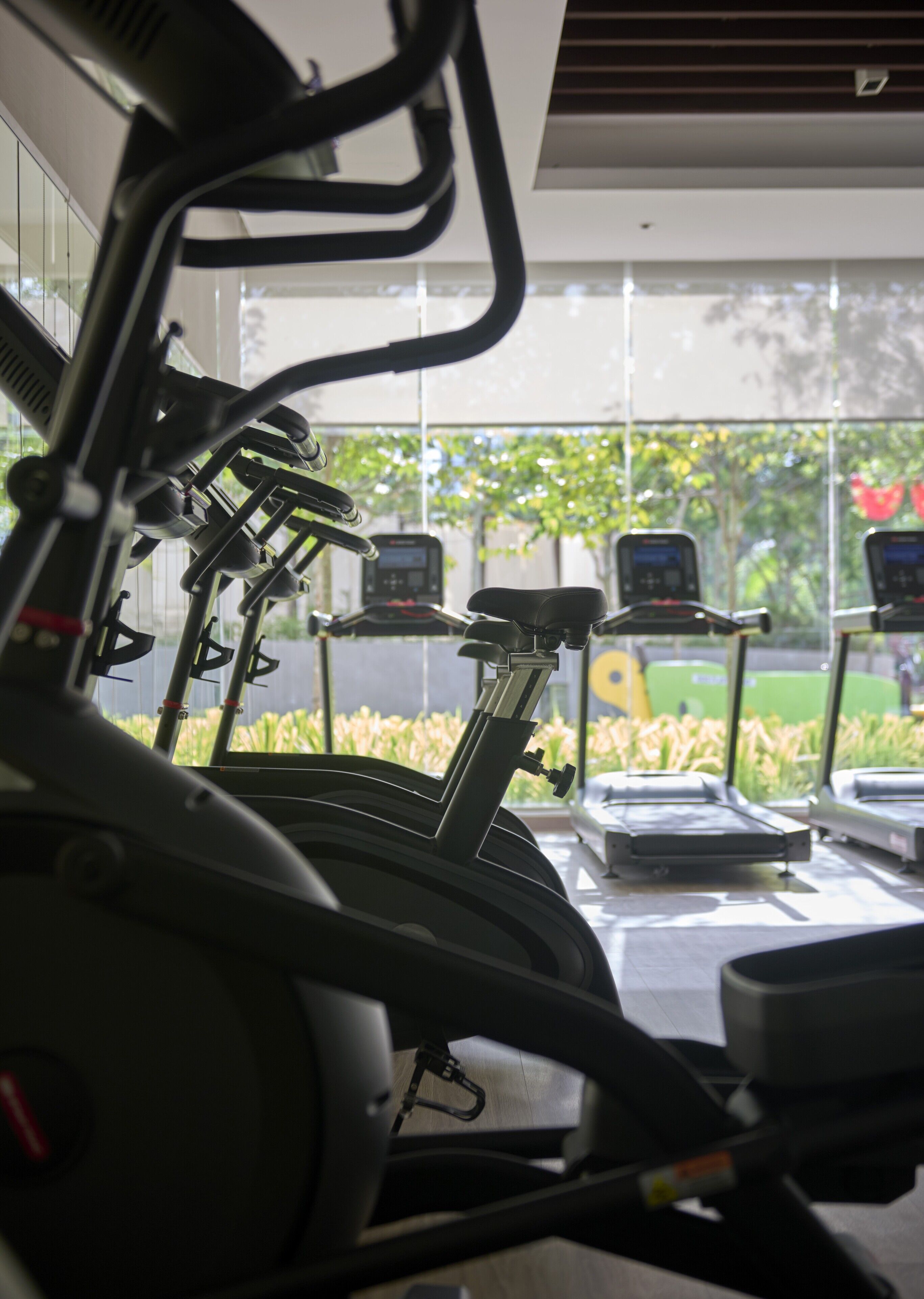 A row of stationary bikes in a gym with a view of greenery outside.
