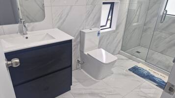 Shower, towels, toilet paper