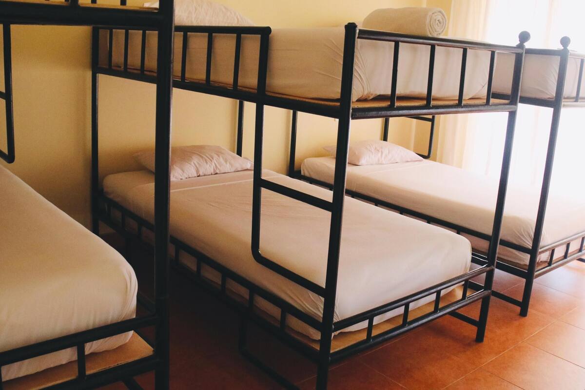 Une chambre de type dortoir avec des lits superposés disposés en deux rangées.