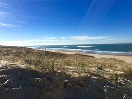 A beach with sand dunes and sparse vegetation.