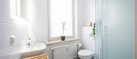 Shower, hair dryer, towels, soap