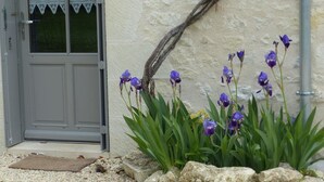 A building entrance with a grey door, a white wall, and purple flowers in the foreground.