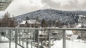 Classic Apartment | Balcony view
