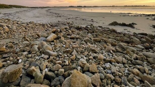 Une plage de galets avec une mer calme et un ciel au coucher du soleil.