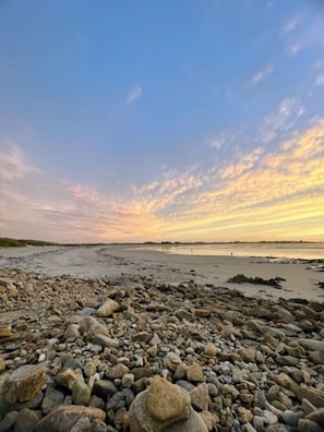 Playa en los alrededores y camastros 