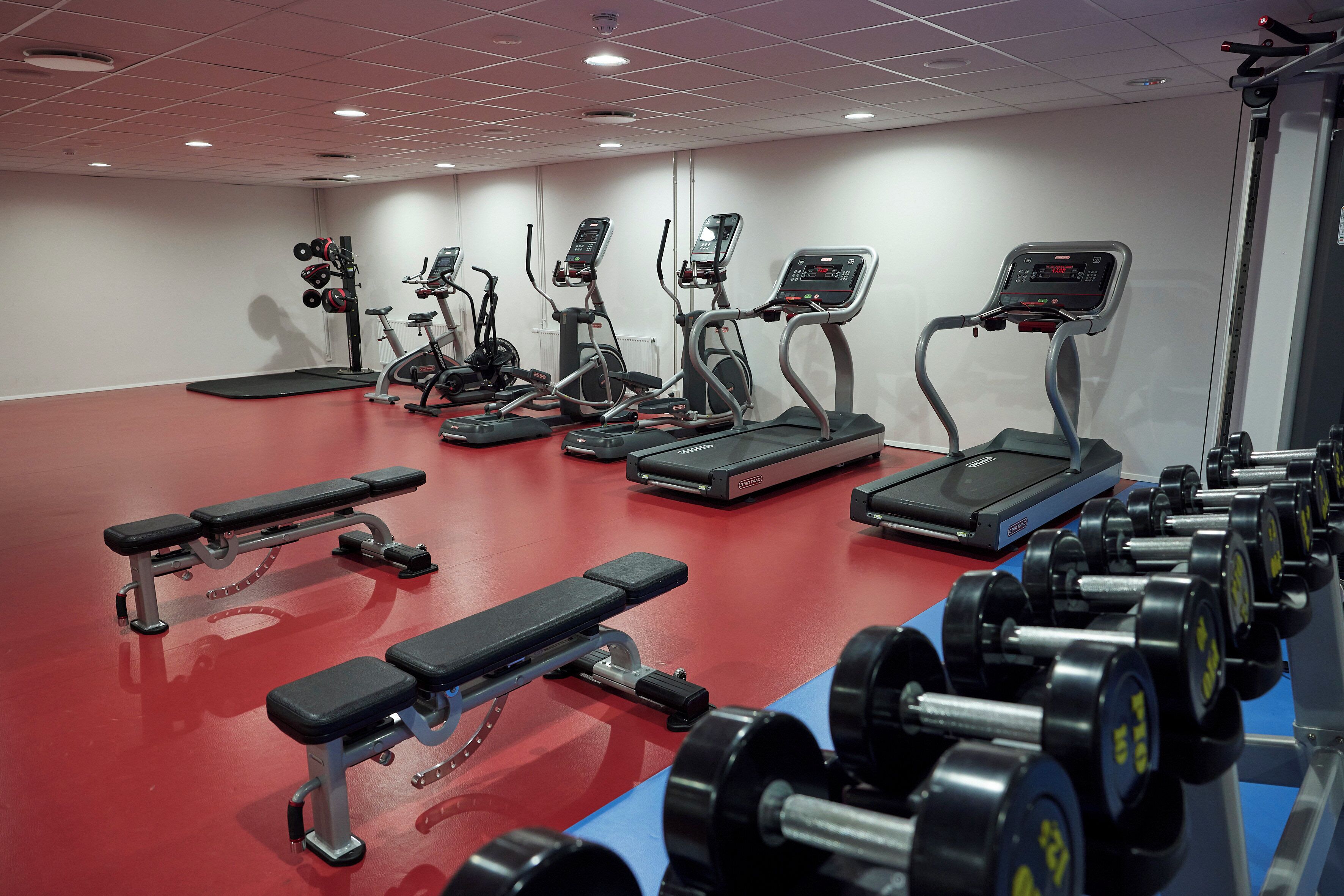 Un gimnasio con cintas de correr, elípticas, una banca y mancuernas.