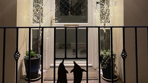 A house entrance with a glass door, two potted plants, and a decorative metal gate. - Rooms At Babbacombe (Torquay)