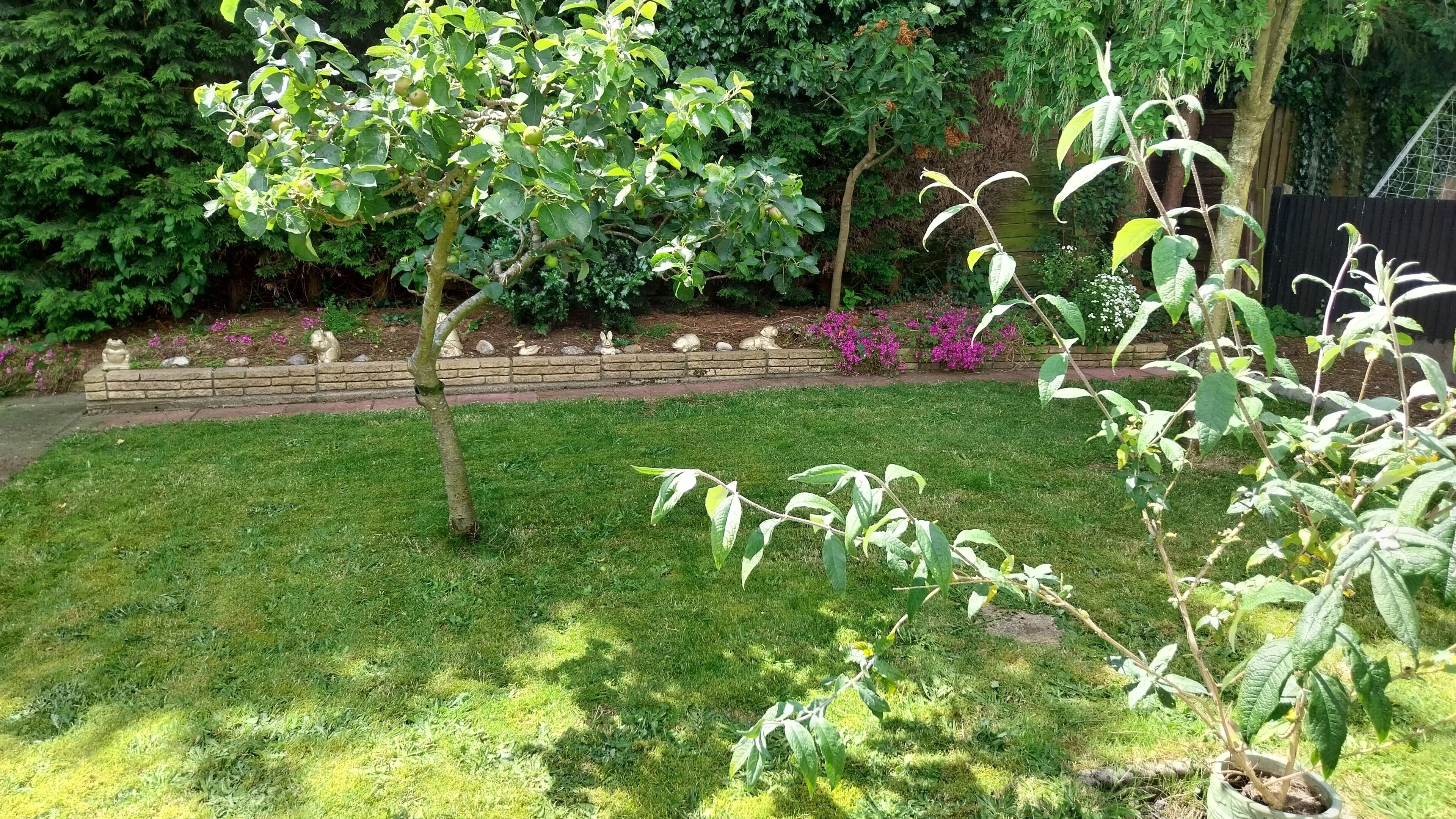 Un jardín bien cuidado con diversas plantas y un sendero de ladrillos.