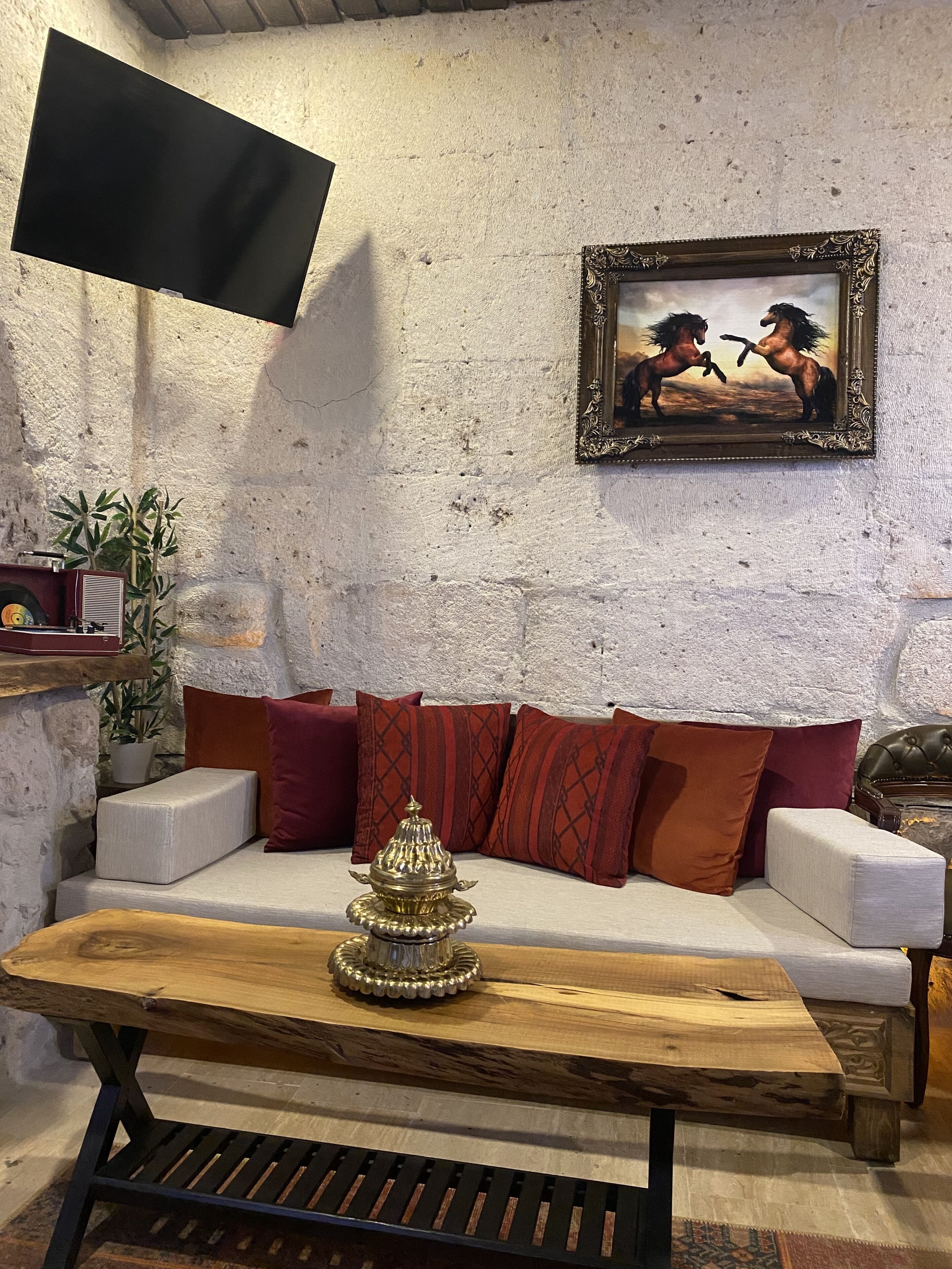 Una sala de estar con sofá, cojines, una mesa de centro de madera, televisor y un cuadro enmarcado en la pared.