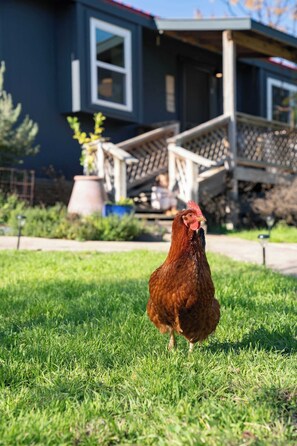 Jardines del alojamiento