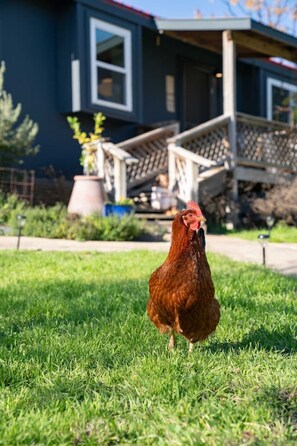 Overnattingsstedets uteområder