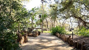 A paved pathway flanked by wooden posts and greenery, leading through a park-like setting. - Rustic Retreat: Tub, Firepit, Porch Swings & Pool (San Marcos)
