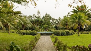 Un sendero de piedra serpentea por un jardín exuberante con diversos árboles y arbustos.