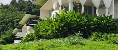 Deluxe Room | View from room