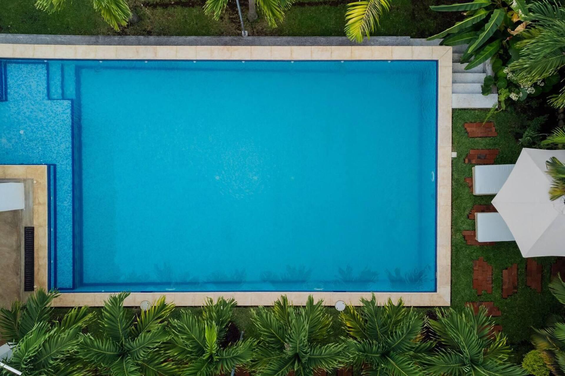 Una piscina rectangular con borde de azulejos, rodeada por un césped con palmeras y sillas de descanso blancas.