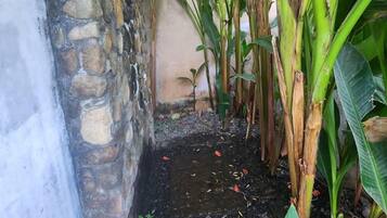 A narrow stone pathway leading to a small water feature surrounded by lush greenery and banana plants.