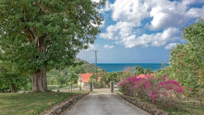 A paved road leading to a house with a red roof, surrounded by greenery and a large tree. - Calypso Court - Private 1 bedroom villa with pool 1 Villa by RedAwning (Gros Islet)