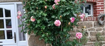 Charming Ground Floor Gîte in French Countryside – Sleeps 4 🏡🌿