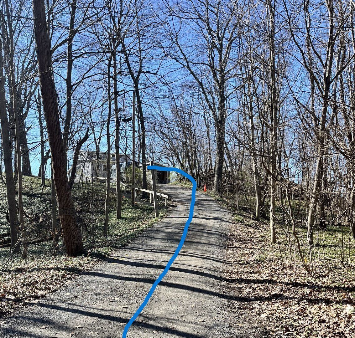 A dirt path flanked by leafless trees, leading to a building with a sign reading "7423".