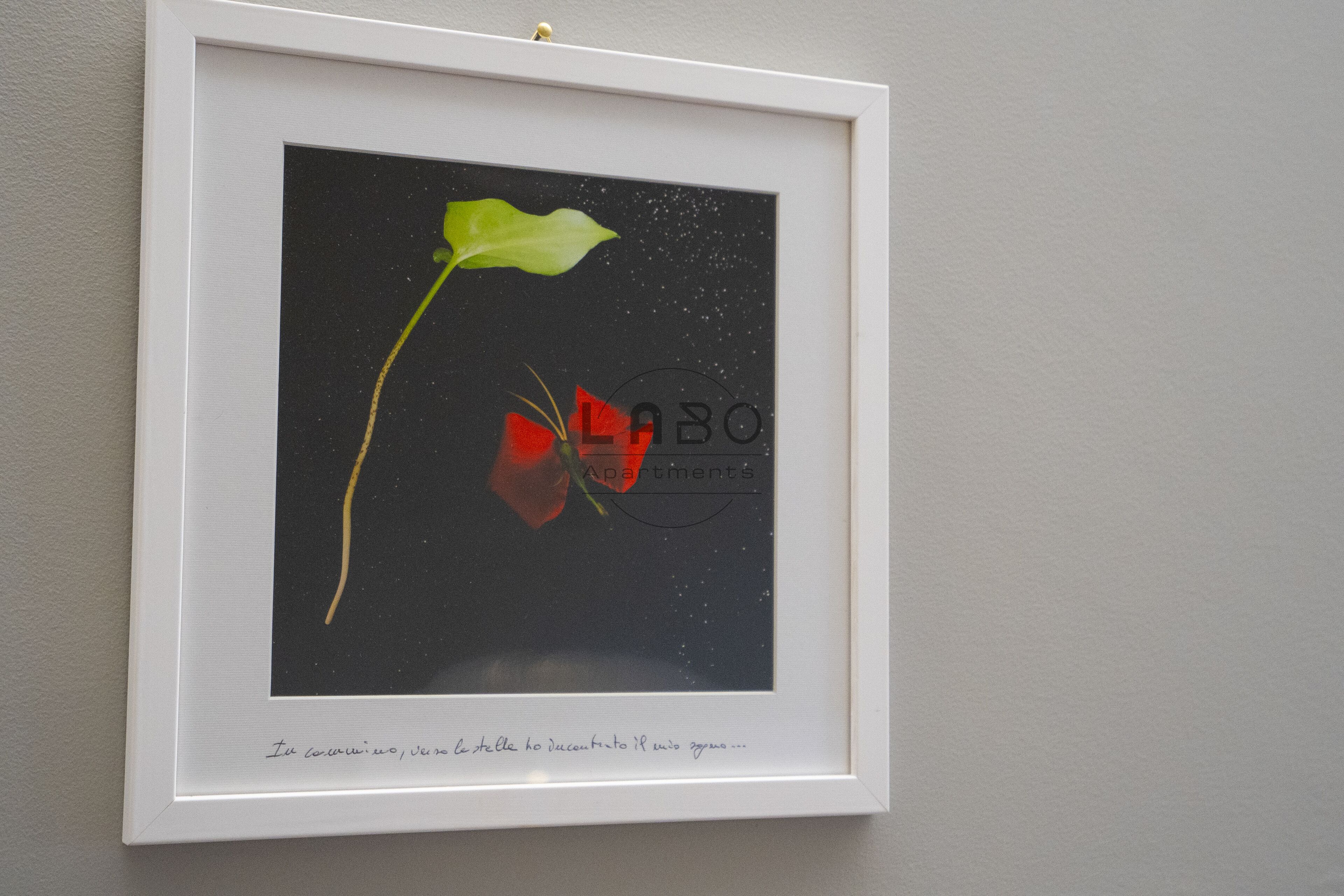 Foto - Agàpe Rooms in Tropea