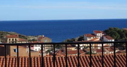 Villa Type MAS Catalan SUR LES Hauteurs DE Port-vendres VUE SUR MER ET Port